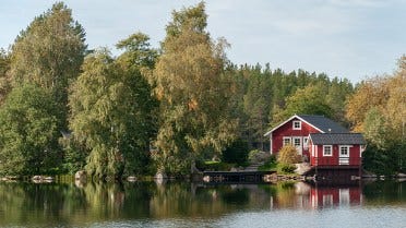 Les scieries et les machines de travail du bois Wood-Mizer aident au développement du secteur du bois en Suède